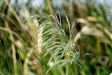 任天堂美服eShop开启新年折扣 多款大作参与活动